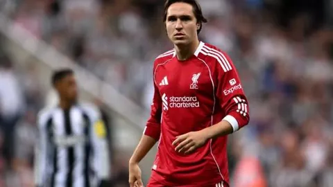 开云体育 资讯 172255 8pg