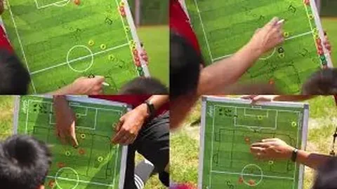 开云体育 资讯 172231 1ec