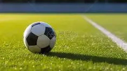 开云体育 资讯 083010 ape