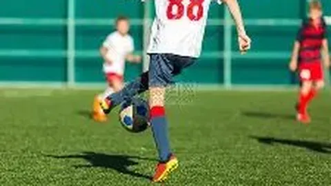 开云体育 资讯 083011 rc0